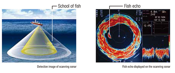 What is scanning sonar.jpg